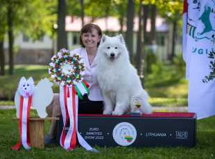 2023 Euroshow Daikiri